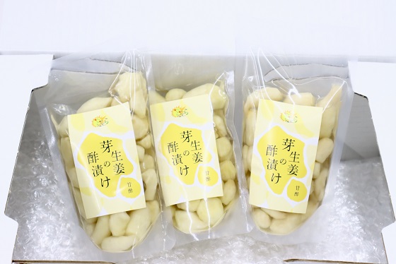 芽生姜の甘酢漬け 3パック