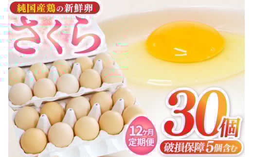 ＼12ヶ月連続お届け／純国産鶏【さくら】純たまご 30個入り 破損保証5個を含む【たまご 卵 玉子 鶏卵 純たまご 採れたて 新鮮 卵 農地直送】(AJ030)
