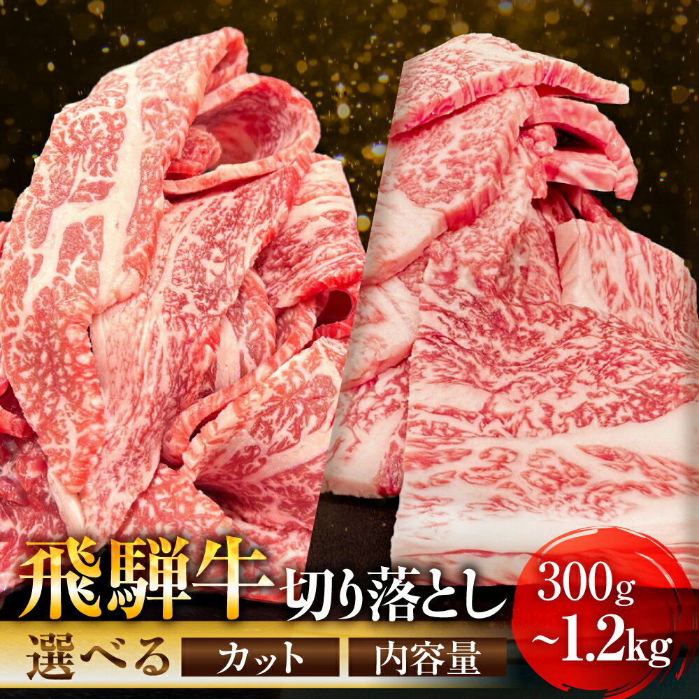 【ふるさと納税】飛騨牛 A5等級 切り落とし 小間切れ こまぎれ 300g 500g 900g カルビ 切り落とし 400g 800g 1.2kg 選べる| 訳あり 簡易包装 小間切れ 切落し A5ランク A5 5等級 肉 黒毛和牛 ブランド牛 冷凍 人気 国産 お取り寄せ 冷凍 飛騨高山 ながせ食品 FH001MP