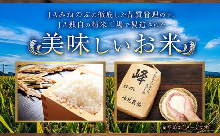 【ＪＡみねのぶ直送】令和5年産ななつぼし１０ｋｇ（５ｋｇ×２）【米 お米 ななつぼし 美唄 米 白米 こめ 北海道 米  10キロ ななつぼし】