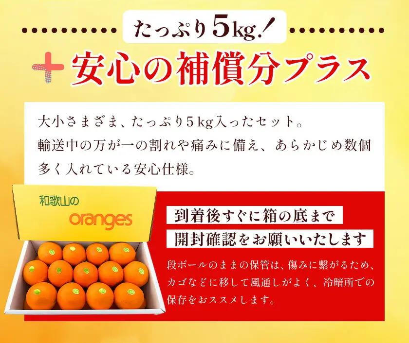 国産ネーブルオレンジ 5kg エイワ商店 オレンジ