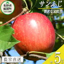 【ふるさと納税】 りんご サンふじ 贅沢な 家庭用 5kg 庚申山荘ファーム 沖縄県への配送不可 令和6年度収穫分 長野県 飯綱町 〔 信州 果物 フルーツ リンゴ 林檎 長野 16000円 予約 農家直送 〕発送時期：2024年11月中旬～2024年12月下旬{**}