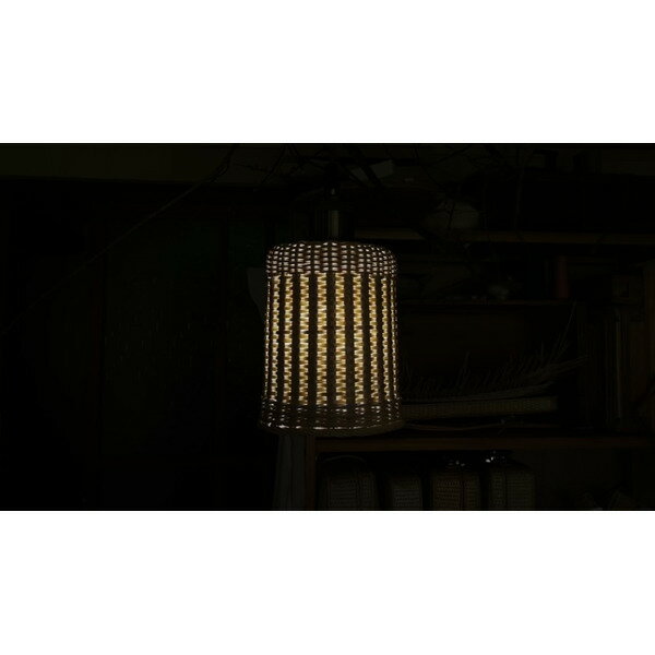 【ふるさと納税】豊岡杞柳細工 育てる照明『sun pillar』 / ランプシェード 照明金具・電球付き 柳 円柱形 伝統工芸品 天然素材 行李柳 コオリヤナギ 高級 照明 間接照明 おしゃれ レトロ 和テイスト 和風 ハンドメイド 手作り インテリア リノベーション 日本製