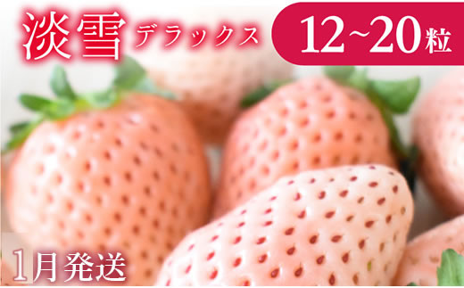 【1月発送】いちご　淡雪DX　1箱（12～20粒）