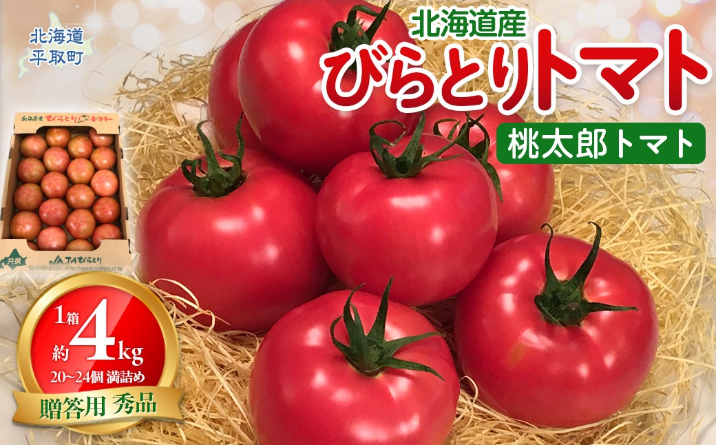 【先行予約】【贈答用】びらとりトマト（桃太郎トマト）秀品 1箱 約4kg（20～24個 満詰め）（2025年6月上旬より順次発送） BRTO001