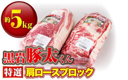 豚肉 肩ロース ブロック 約 5kg 黒岩豚太 くん H0103 （くろいわ産地直売所）冷蔵 ロース ブロック肉 2.5kg × 2 とんかつ ステーキ トンテキ  豚肉 肩ロース ブロック ロース
