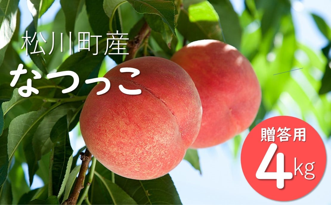 
            KM08-25A 桃 なつっこ 4kg以上（12～16玉）／8月上旬～8月中旬頃 発送予定//長野県 南信州 松川町産 モモ もも  贈答 産地直送 新鮮
          