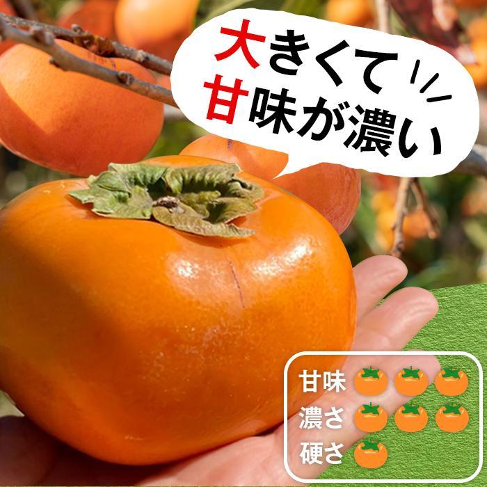 柿(種無し) 6個入 (約2kg)  秀品大玉【2025年9月下旬頃より発送】【KT1】　XN90001_イメージ2