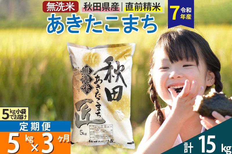 【無洗米】＜令和7年産＞《定期便3ヶ月》秋田県産 あきたこまち 匠 5kg (5kg×1袋) ×3回 5キロ お米 |02_snk-030303s