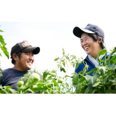 ふるさと納税 陸前高田市 令和7年産 ひとめぼれ 5kg 白米 軍見洞農園 米 お米 精米 お弁当 おにぎり おむすび |  | 01