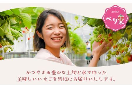 自家製カップアイス2種セット（いちご 6個 & みっくす 6個） [A-045002]