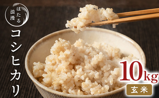 ほたる浪漫のこだわり米 コシヒカリ 玄米 10kg 米 玄米 コメ ごはん ご飯 食品  F25R-152