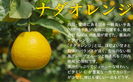 【先行予約】【農家直送】愛媛県産 ナダオレンジ 贈答用 4.5kg（2025年5月中旬より順次発送） IKTC012 