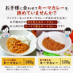 【冷凍】管理栄養士監修 手作りカレーセット(アレルギーフリー)【配送不可地域：離島】【1473417】