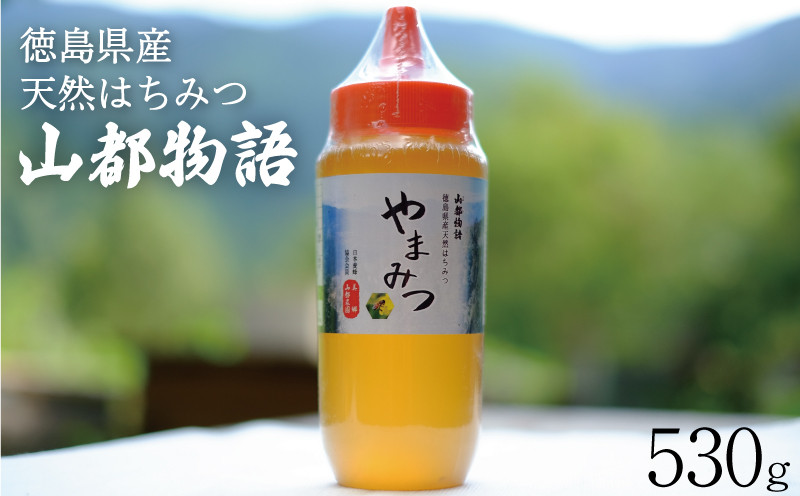 
            はちみつ山都物語(ボトルタイプ)530g
          