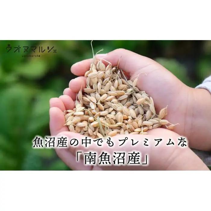 【令和７年】【お米定期便/全３回】 おかずのいらない 魚沼産コシヒカリ　無洗米１０ｋｇ｜コシヒカリ