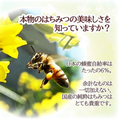 ふるさと納税 東久留米市 【東京都東久留米市】百花純粋生はちみつ 非加熱 140g×3本 野島養蜂場 |  | 01