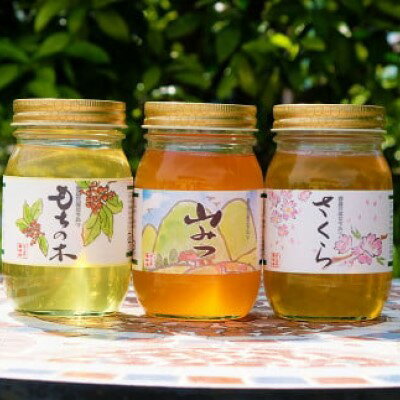 【ふるさと納税】はちみつ 国産 天然 純はちみつ 600g×3本セット さくら＆もちのき＆やまみつ ハチミツ 蜂蜜 　お届け：2025年5月より順次発送いたします。