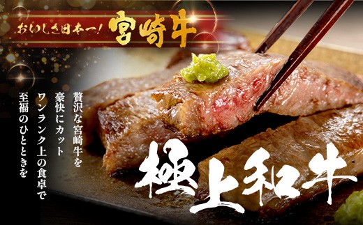 宮崎牛 ロース ステーキ 約500g（2枚入）×1P 冷凍｜国産 牛肉 4等級以上 黒毛和牛 肉 お肉 ブランド牛 鉄板焼き 高級 株式会社ミヤチク 宮崎県 諸塚村 MY-01