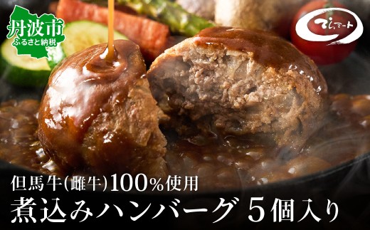 但馬牛 煮込みハンバーグ 5個入り てらミート特製 兵庫県丹波市産 雌牛こだわり 神戸ビーフ系統