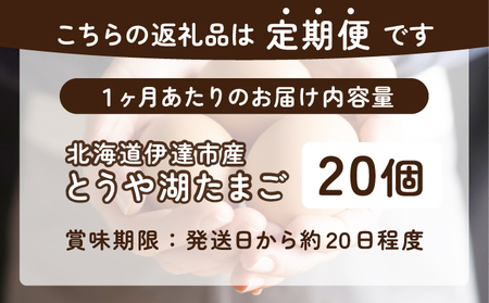 【6ヵ月 定期便】 北海道 伊達市 とうや湖 卵  20個 入り たまご