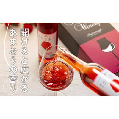 ふるさと納税 八女市 あまおうワイン2本セット |  | 01
