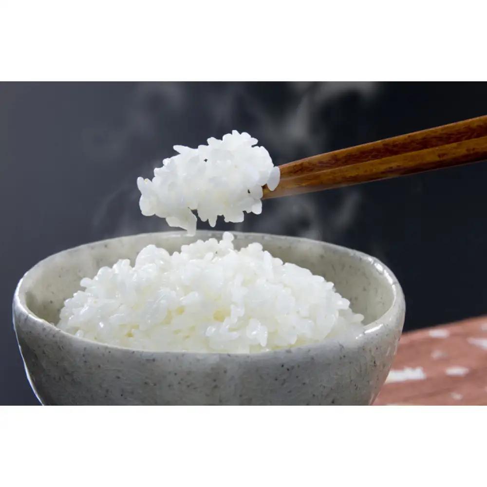 令和7年北海道産 きらら397 5kg（5kg×1袋） | 米 ご飯 _05643
