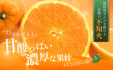 不知火 デコポン 蜜柑 みかん 柑橘 果物 フルーツ /【先行予約】秀品 路地不知火 2.5kg【L～3Lのサイズおまかせ】【2025年2月上旬から2024年２月下旬頃に順次発送】＜味好農園＞【agy