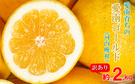訳あり 愛南ゴールド（河内晩柑) 2kg 柑橘 愛南ゴールド 青果市場