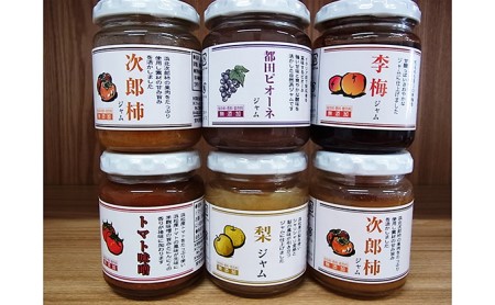 遠州の果物、野菜加工品詰合せ（柿２本）