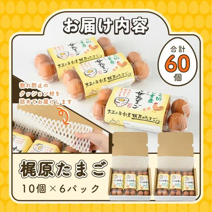 梶原たまご(計60個・10個×6P) 卵 玉子 鶏卵 卵かけご飯 玉子焼き【108800200】【カジワラファーム】