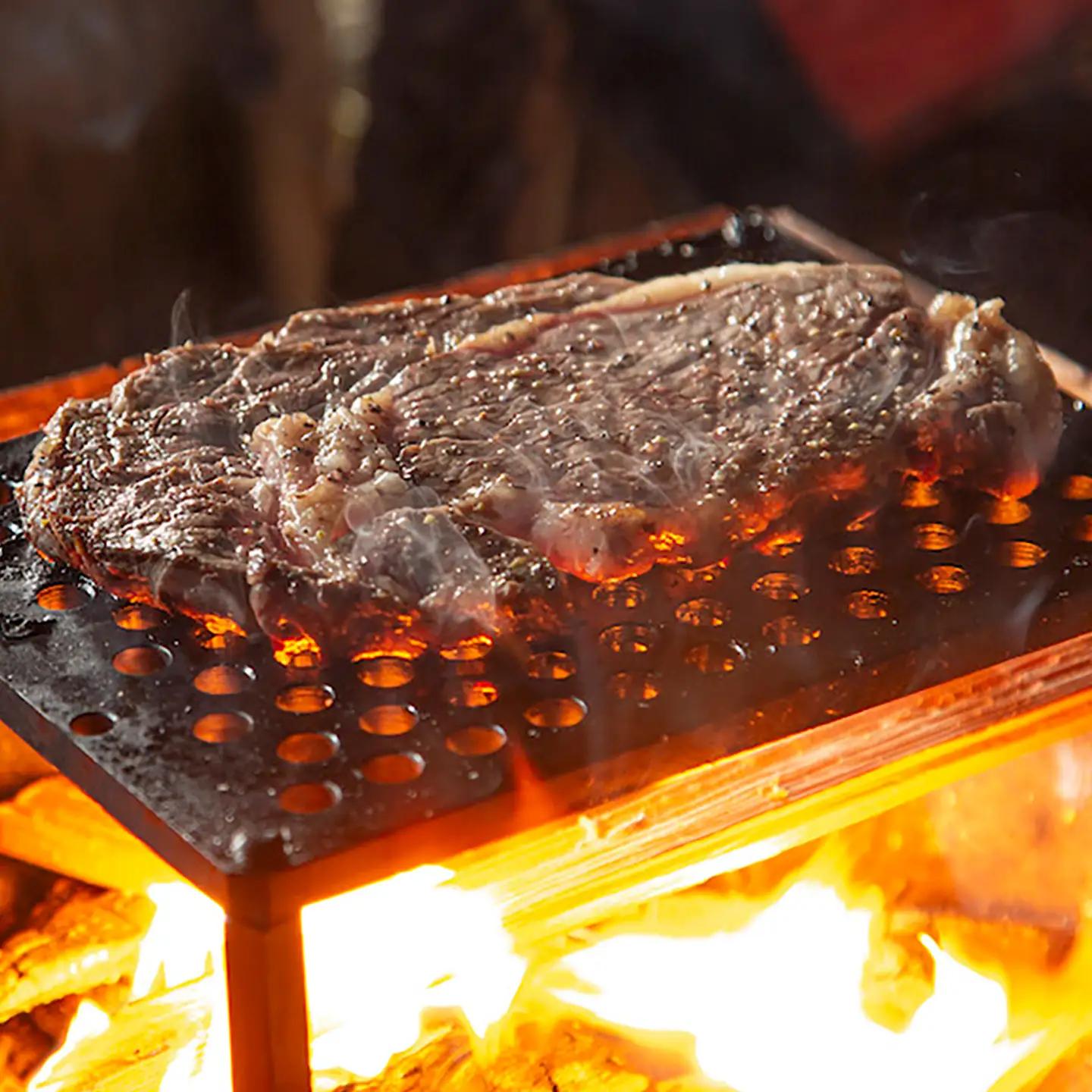 LGASIA (ルガシア) 9mm極厚網スタンダード(専用ハンドル付き) / アウトドア キャンプ 鉄板 BBQ 恵那市 / ＭＡＣ[AUDM015]