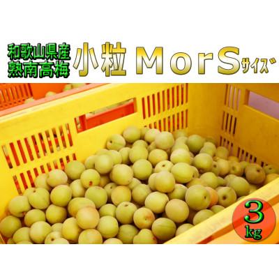 ふるさと納税 かつらぎ町 【梅干・梅酒用等】紀州和歌山の熟南高梅(約3kg+3%)【6月下旬〜7月上旬順次発送】