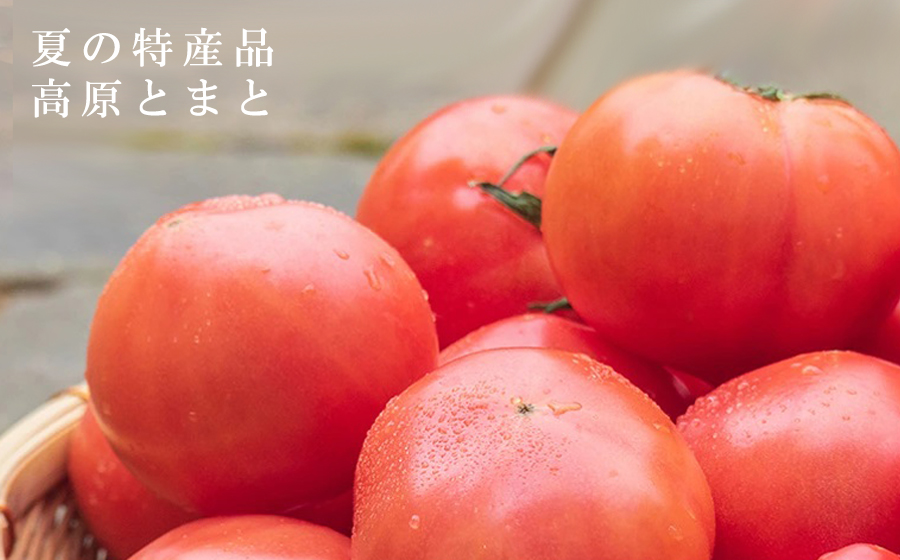 トマト焼酎(大)セット /// 焼酎 米焼酎 酎ハイ チューハイ トマ酎 トマトジュース ストレート 無添加