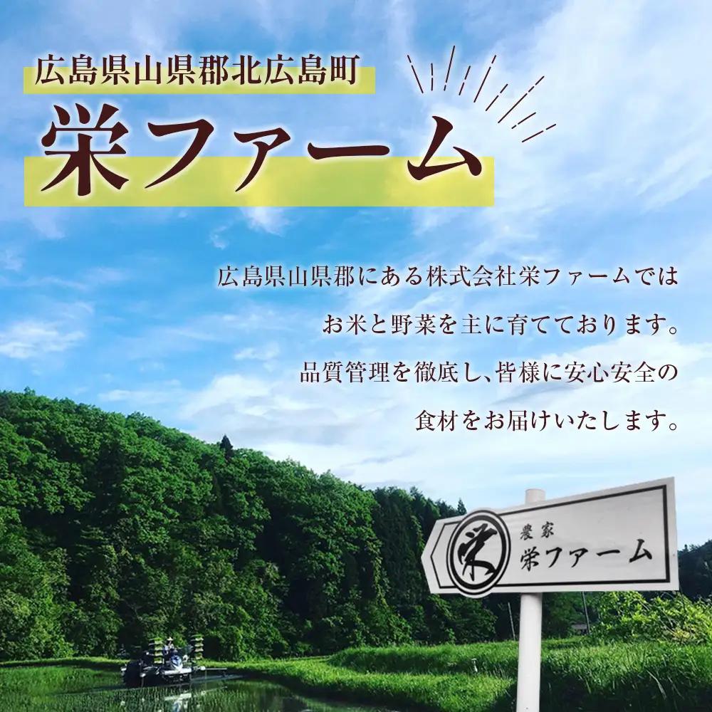 『定期便』全3回 にじのきらめき 精米 10kg 大朝の米 栄ファーム 毎月届く定期便 米どころ北広島町のおいしいお米_SA091_011s3