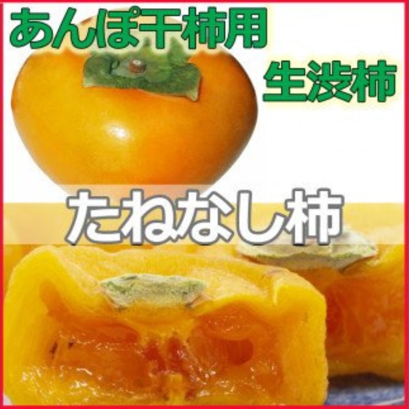 甘さが違う！とっても甘くなる生渋柿（平たねなし柿）あんぽ柿用 T軸枝無  約4.5～5kg　約24～30個＜2026年10月中旬～11月上旬ごろ順次発送＞-AP【art003B】