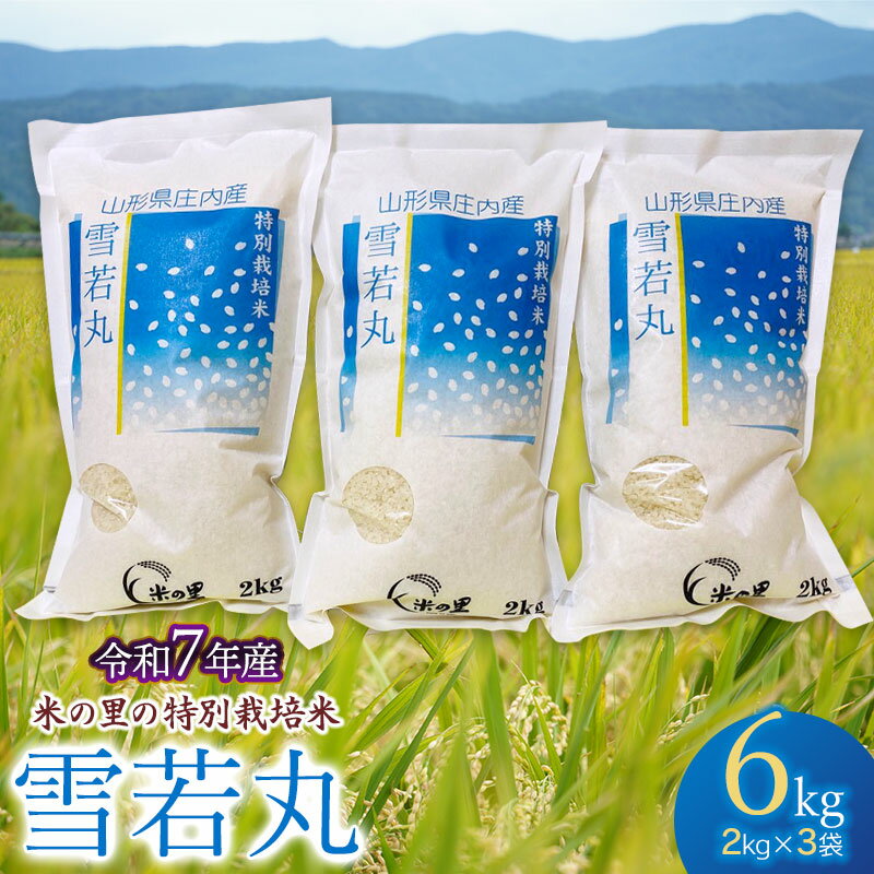 【ふるさと納税】令和7年産【新米】 米の里の特別栽培米 雪若丸 精米6kg（2kg×3袋）　山形県鶴岡市産　K-763