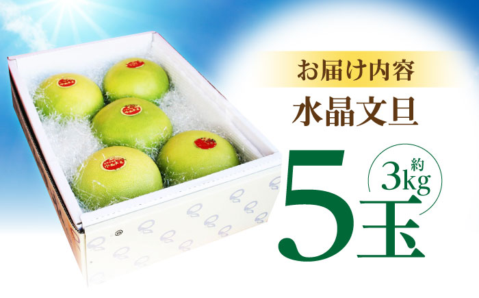 【先行予約】 南国土佐の女王柑橘 水晶文旦 約3kg 5玉入り〈2026年9月中旬～2026年12月中旬頃発送〉/ ぶんたん 文旦 3kg 3キロ フルーツ 高知 名物 果物 柑橘 ムッキー 【フルー
