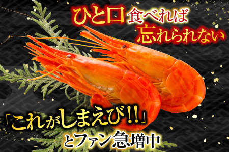 根室海鮮市場[直送]北海しまえび500g×2P B-28119