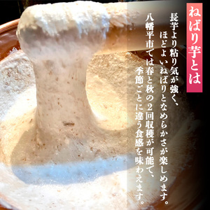 ＜12月上旬発送開始予定＞ 岩手県産 敦子さんが育てたねばり芋 6kg ／ 長いも 長芋 ながいも ねばり芋 ねばりいも 山芋 やまいも 山いも やま芋 農家直送 産地直送 とろろ とろろご飯 ご飯の