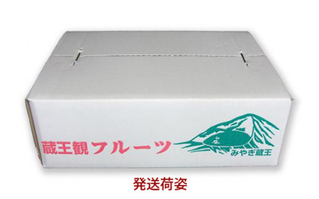 【先行予約】＜蔵王町産＞【特秀】新高梨3kg箱詰め　【04301-0605】