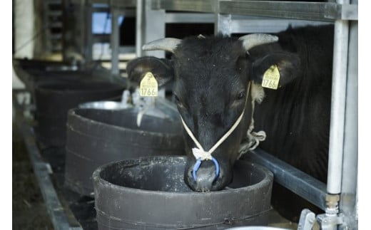 【数量限定】牧場直売「淡路姫和牛」たれ漬　800g（400g×2パック）