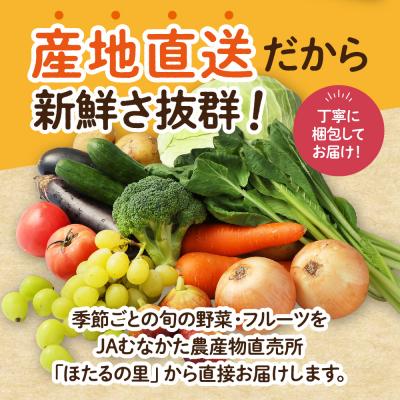 ふるさと納税 宗像市 【9〜11品】むなかた旬のお任せ セット(野菜・フルーツ)【JAほたるの里】_HA1570 |  | 01
