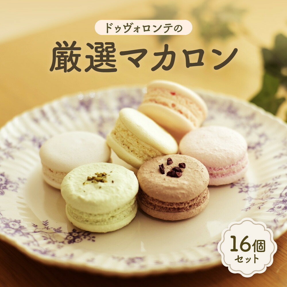 【ふるさと納税】ドゥヴォロンテの厳選マカロンセット | ドゥヴォロンテ お菓子 洋菓子 スイーツ デザート マカロン おすすめ 人気 送料無料