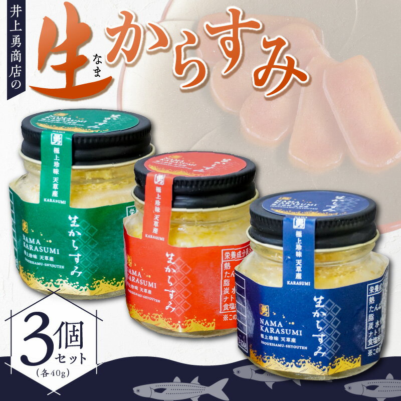 【ふるさと納税】生からすみ 40g 3個 セット ボラ 卵巣 加工品 厳選 製法 こだわりの味 目視 手作業 品質 追求 味つけ 塩のみ 自然 旨味 引き出す あっさり プチプチ お酒 おつまみ からすみ パスタ お取り寄せ グルメ 井上勇商店 熊本県 天草市 送料無料