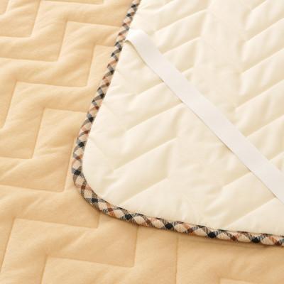 ふるさと納税 泉大津市 【日本一の毛布の町】DAKS House check ふんわりパイルの敷パッド　シングル |  | 02