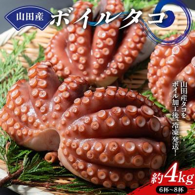 ふるさと納税 山田町 三陸山田産 ボイル タコ 4kg たこ たこ焼き 刺身