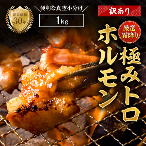 【訳あり】霜降り 極みトロホルモン 1kg 秘伝のタレ付き | 国産 訳あり極トロホルモン 訳あり 霜降り ホルモン 冷凍 真空パック 家庭用 ホルモンうどん　八島丹山 京都 舞鶴