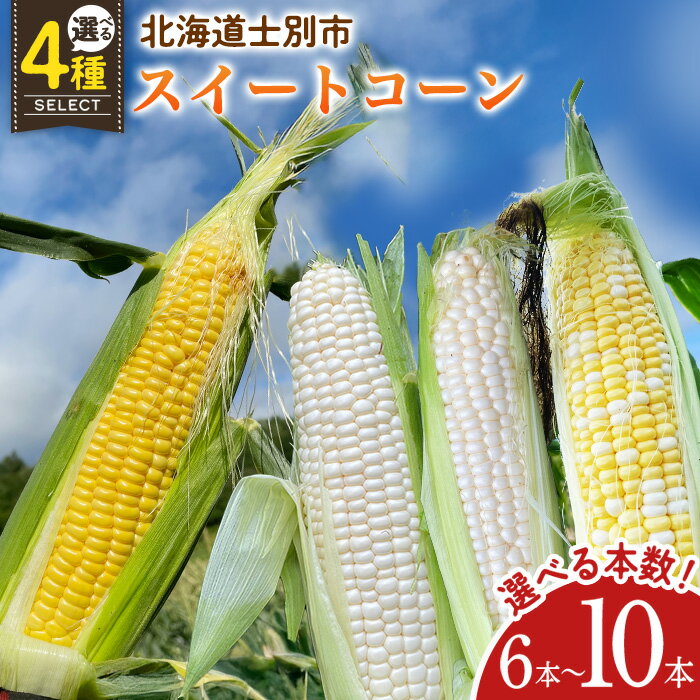 【ふるさと納税】＜期間限定＞天塩川源流スイートコーン ゴールドラッシュ ホイップコーン ホワイトショコラ 夢のコーン (6本～10本) 【2025年8月より順次発送】 北海道産 北海道 士別市 とうもろこし トウモロコシ とうきび ホワイトコーン 野菜 産地直送 【三栄アグリ】
