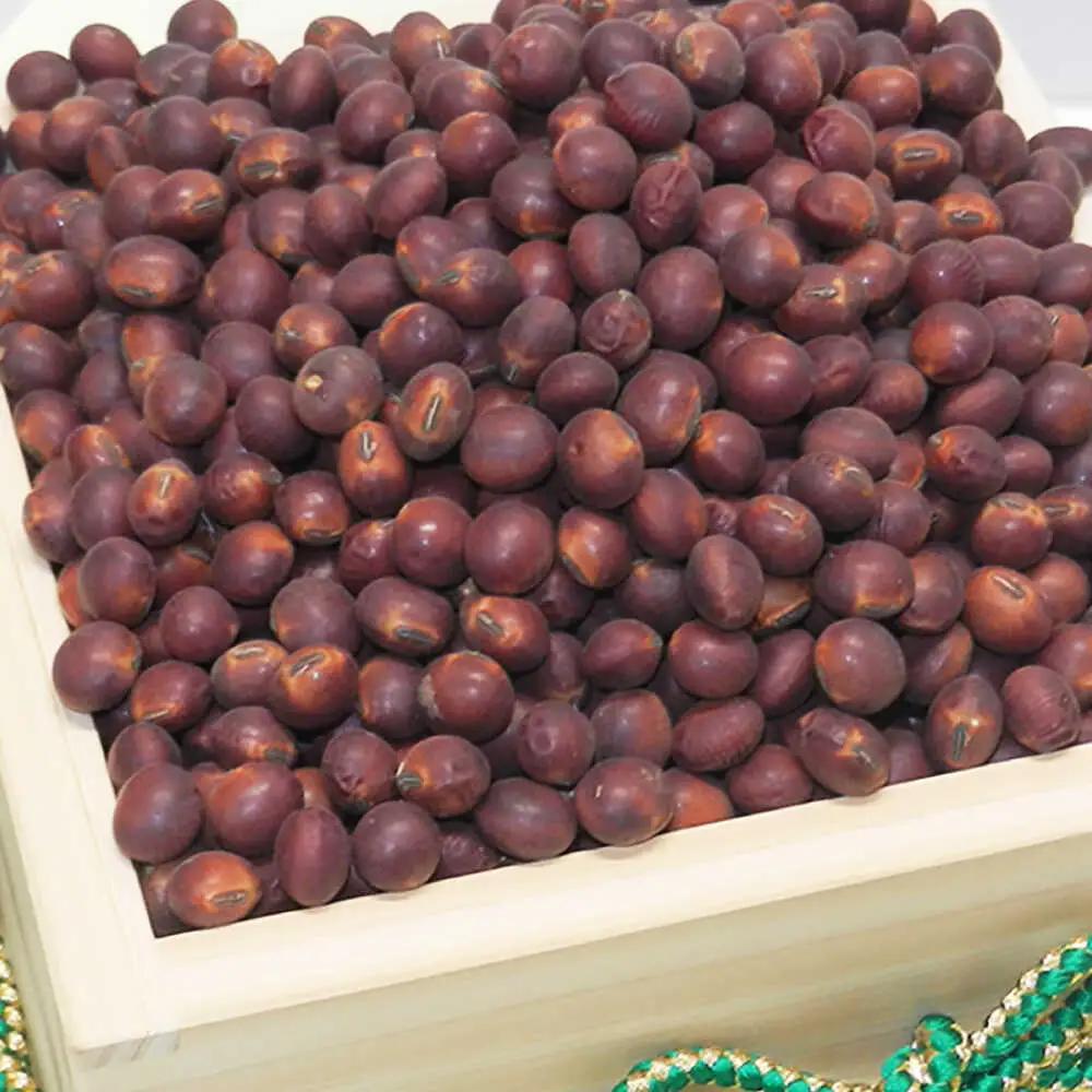 熊本県産 赤大豆きなこ丸ぼうろ 8枚入×4袋 和菓子[AYAB041]